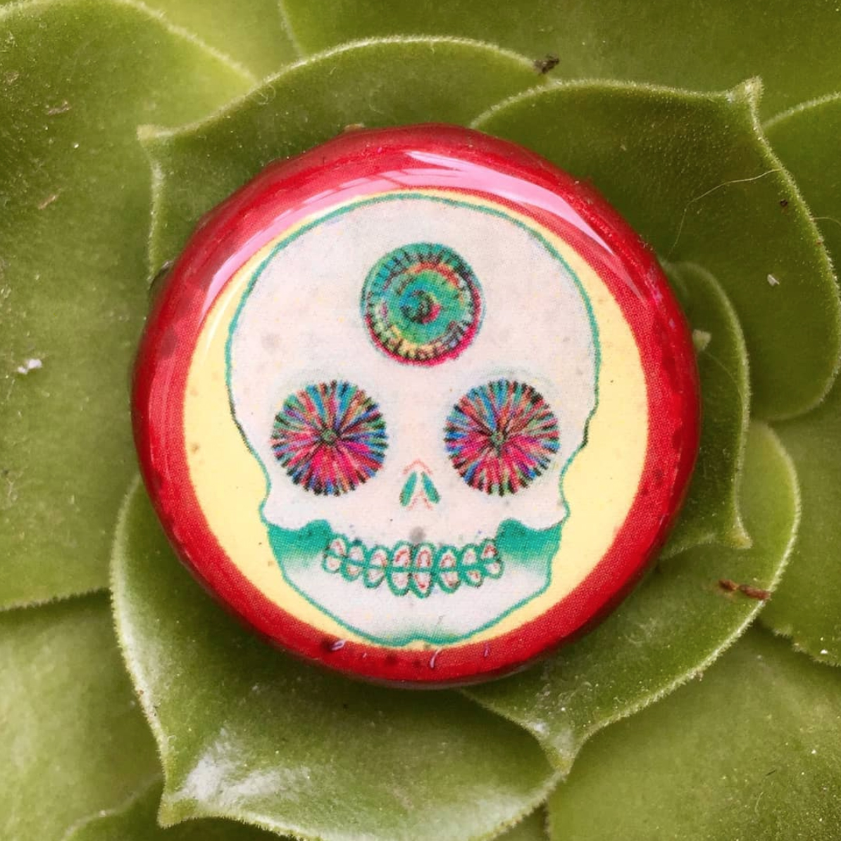 Calavera Mutante - $150mx