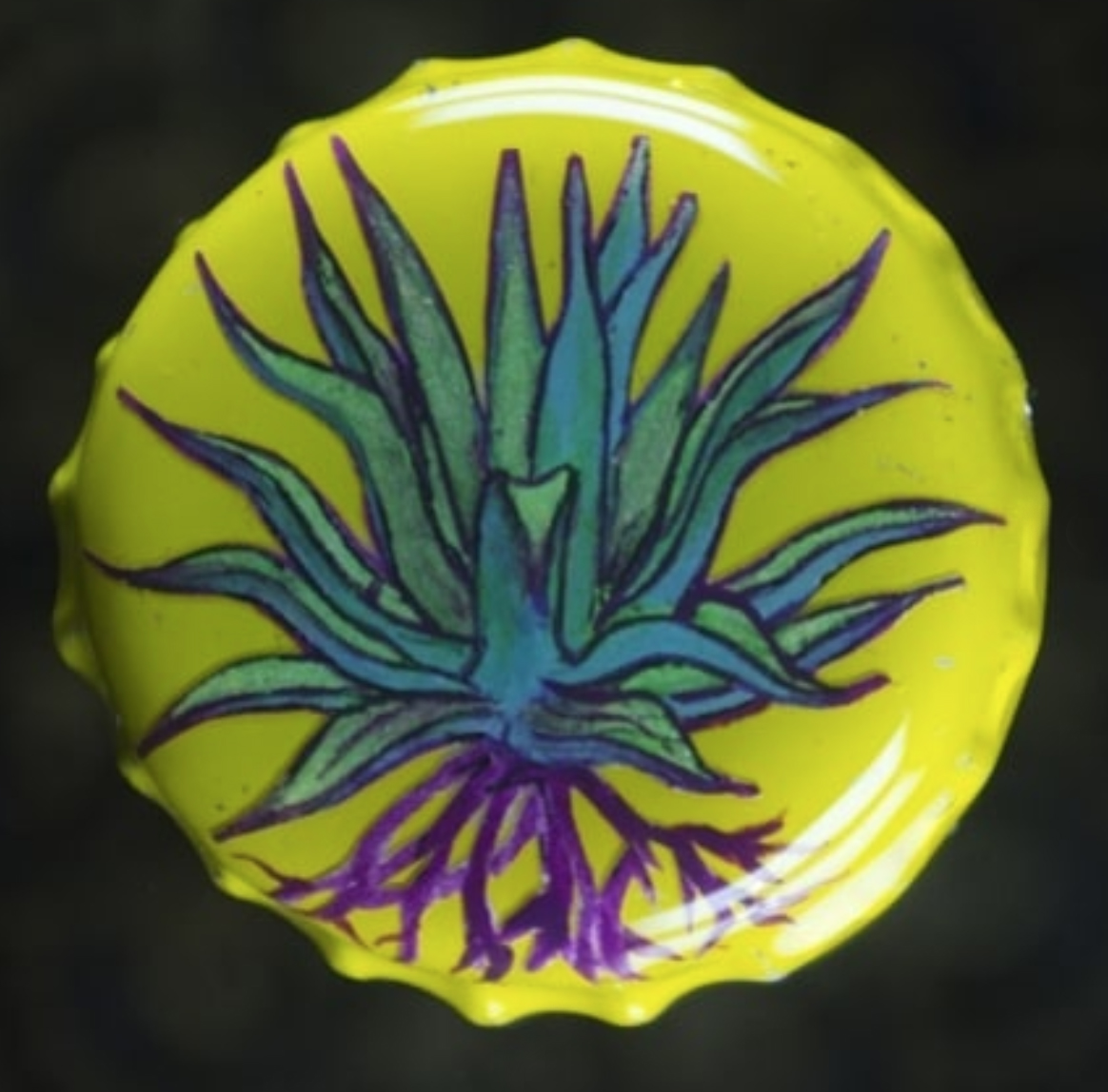 Maguey pulquero - $250mx